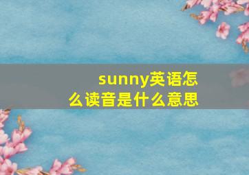 sunny英语怎么读音是什么意思