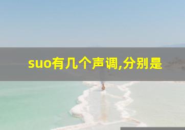 suo有几个声调,分别是