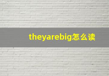 theyarebig怎么读