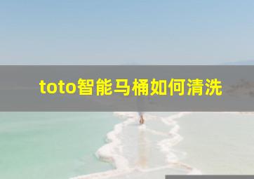 toto智能马桶如何清洗