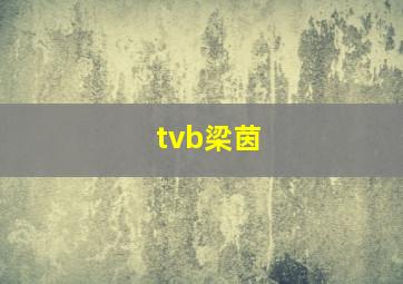 tvb梁茵