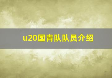 u20国青队队员介绍