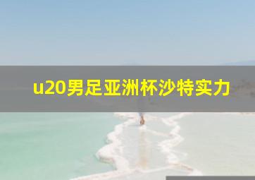 u20男足亚洲杯沙特实力