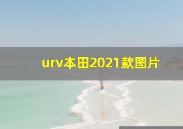 urv本田2021款图片