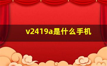 v2419a是什么手机