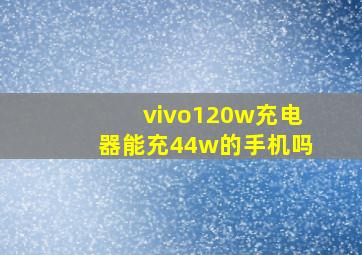 vivo120w充电器能充44w的手机吗