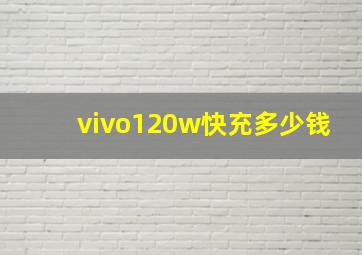 vivo120w快充多少钱