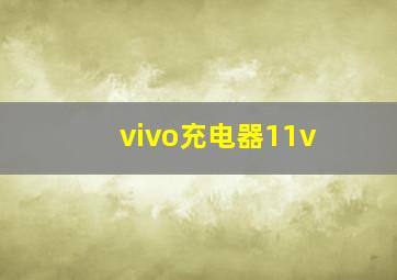 vivo充电器11v