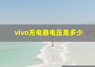 vivo充电器电压是多少