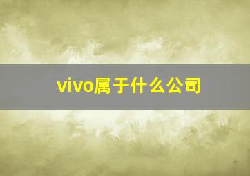 vivo属于什么公司