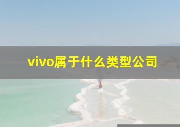 vivo属于什么类型公司