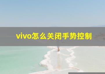 vivo怎么关闭手势控制