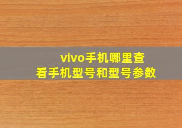 vivo手机哪里查看手机型号和型号参数