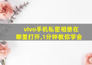 vivo手机私密相册在哪里打开,1分钟教你学会