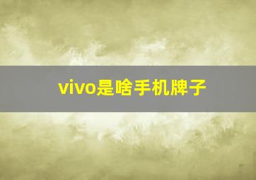 vivo是啥手机牌子