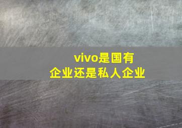 vivo是国有企业还是私人企业