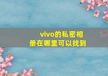 vivo的私密相册在哪里可以找到