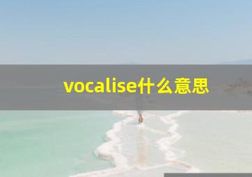 vocalise什么意思