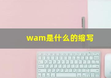 wam是什么的缩写