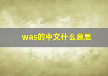 was的中文什么意思