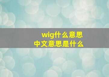 wig什么意思中文意思是什么