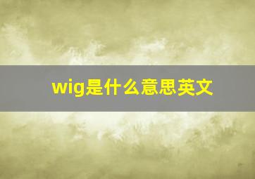 wig是什么意思英文