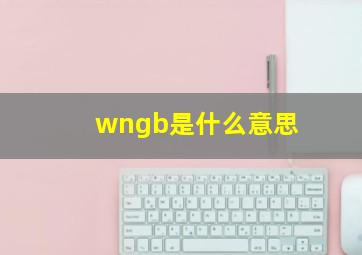 wngb是什么意思