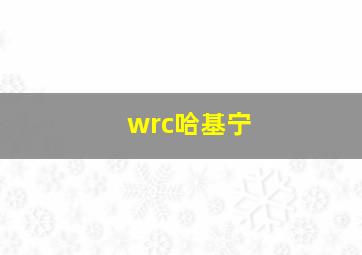 wrc哈基宁