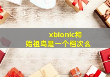 xbionic和始祖鸟是一个档次么