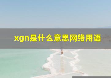 xgn是什么意思网络用语