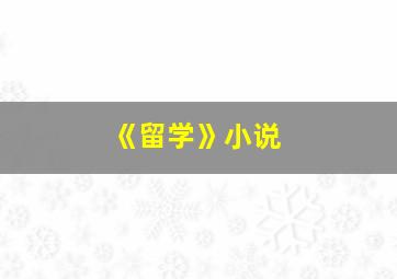 《留学》小说