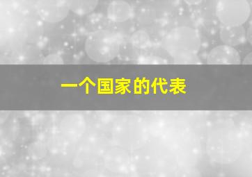 一个国家的代表