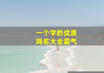 一个字的优质网名大全霸气