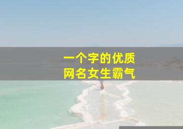 一个字的优质网名女生霸气