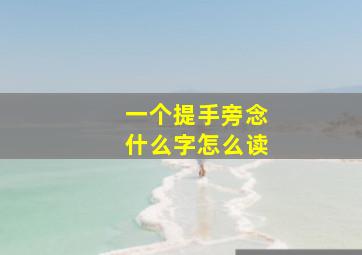 一个提手旁念什么字怎么读