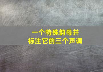 一个特殊韵母并标注它的三个声调