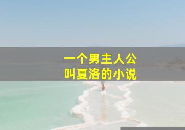 一个男主人公叫夏洛的小说