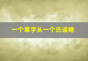 一个草字头一个氏读啥