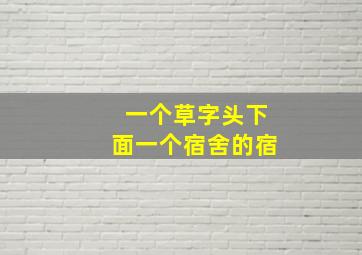 一个草字头下面一个宿舍的宿