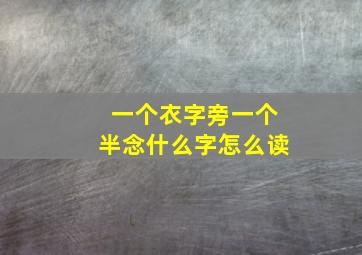 一个衣字旁一个半念什么字怎么读