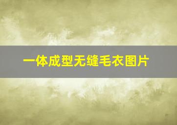 一体成型无缝毛衣图片