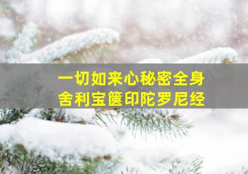 一切如来心秘密全身舍利宝箧印陀罗尼经