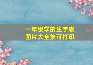 一年级学的生字表图片大全集可打印