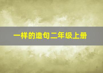 一样的造句二年级上册