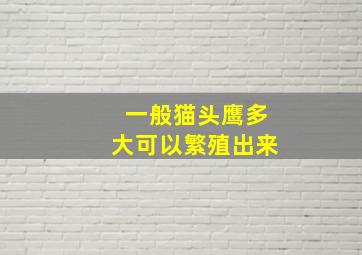 一般猫头鹰多大可以繁殖出来