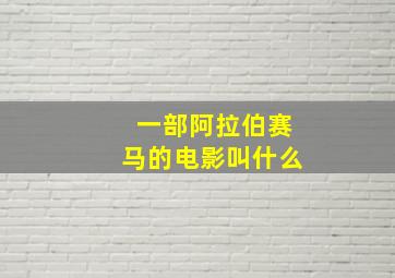 一部阿拉伯赛马的电影叫什么