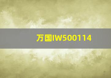 万国IW500114