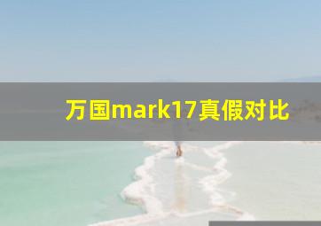 万国mark17真假对比