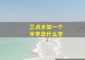 三点水加一个半字念什么字