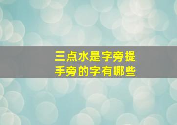 三点水是字旁提手旁的字有哪些